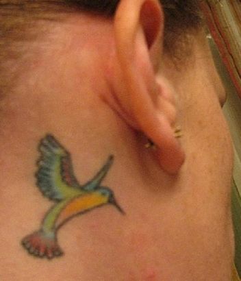 Hummingbird Pics Tattoo On Back Of Ear